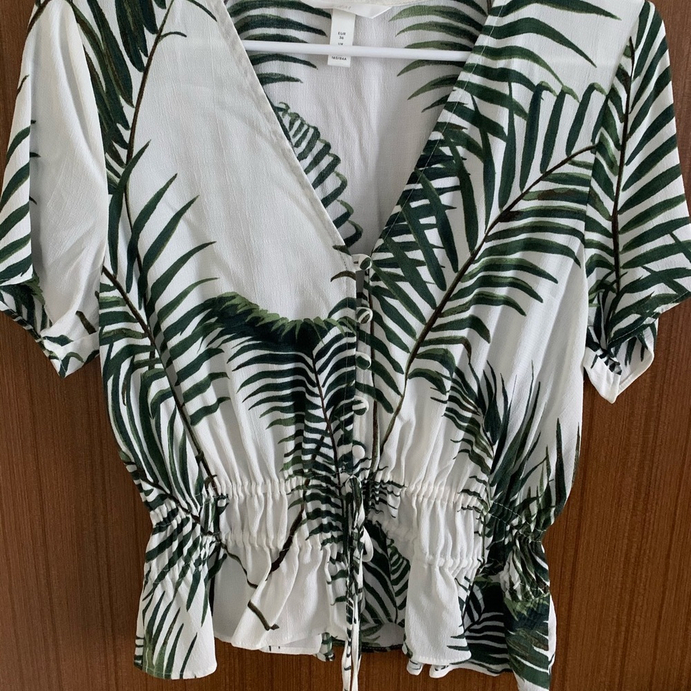 Palm top